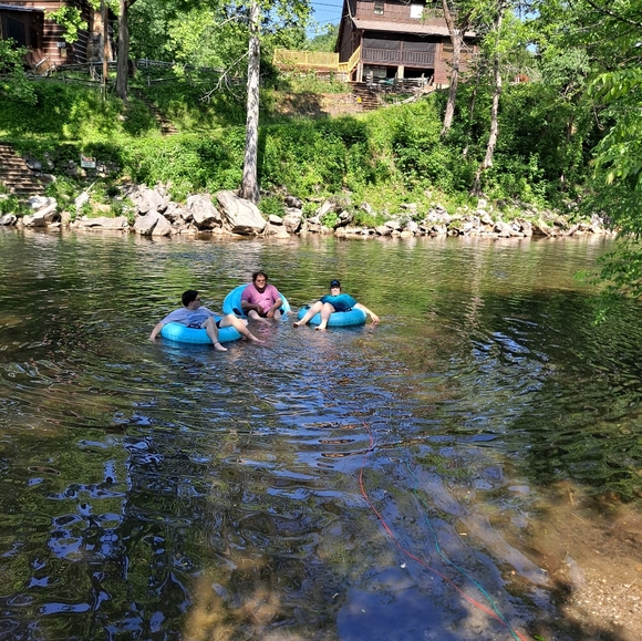 Meet Posher PittyPat - Picture 11 of 16